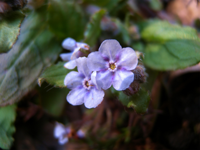 e0272335_53515.jpg