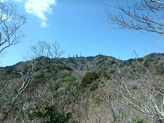 f0334143_8231365.jpg