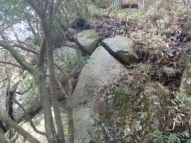 f0334143_82656100.jpg