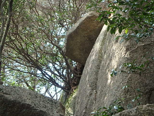 f0334143_8282134.jpg