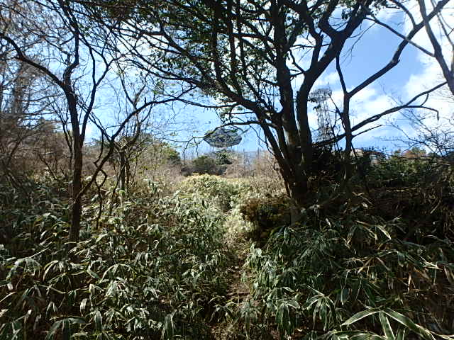 f0334143_8301163.jpg