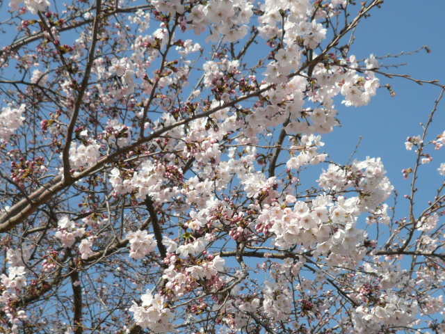 c0043055_20570082.jpg
