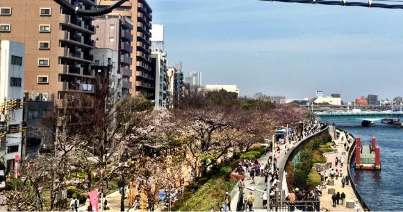 b0181457_14510495.jpg