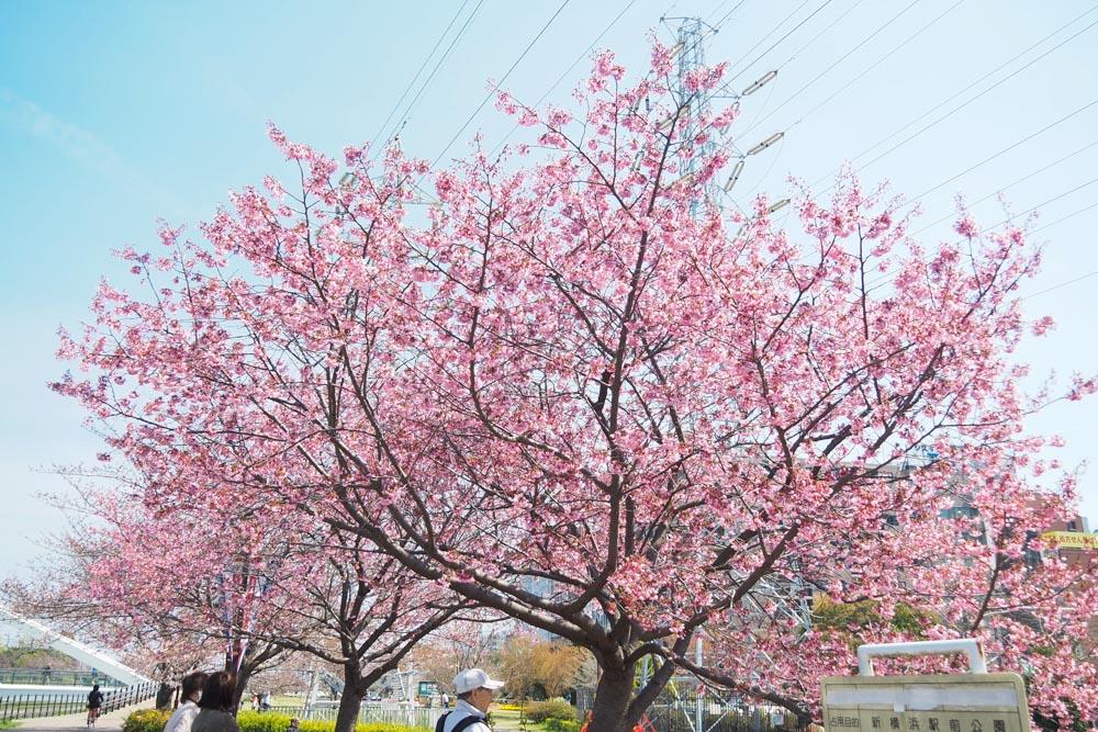 新横浜公園散歩_f0138158_12505879.jpg