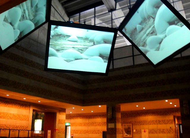 c0119160_21461784.jpg