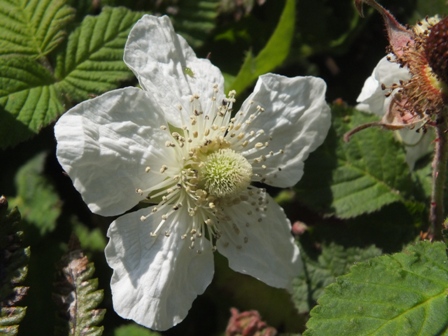 b0214473_8511244.jpg