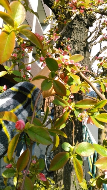 c0162773_01125497.jpg