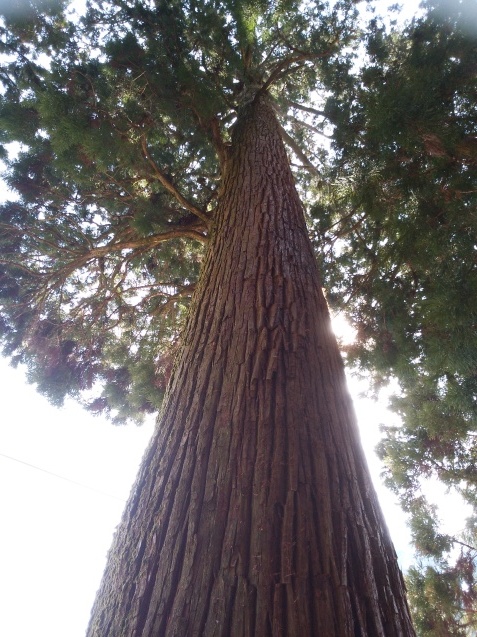 e0371086_23333585.jpg