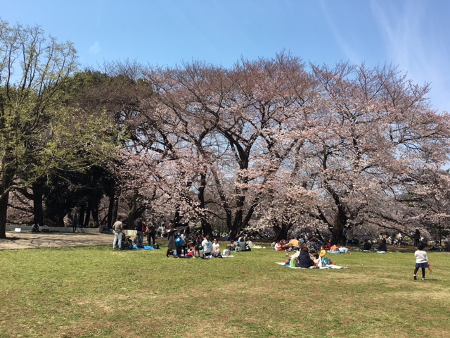 b0349589_15144893.jpg