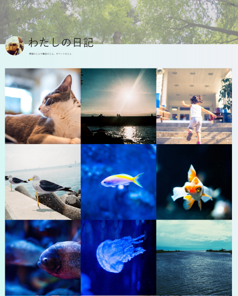 a0029090_17360723.png