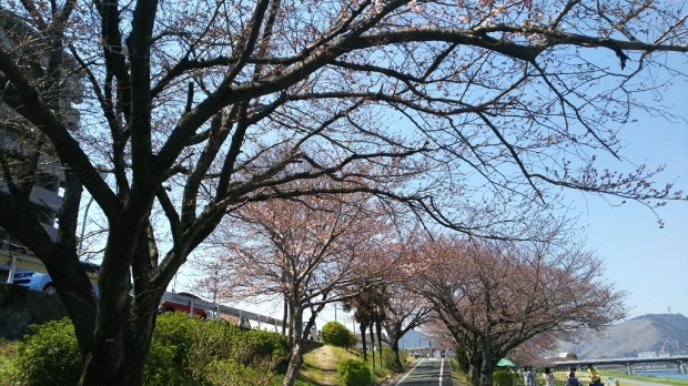 c0109891_06172167.jpg