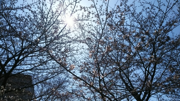 c0109891_06172524.jpg