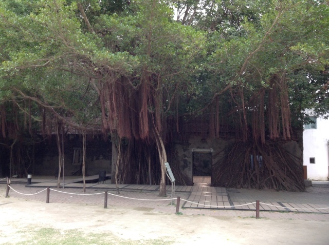 台南安平樹屋_a0334793_01302281.jpg