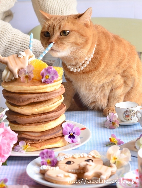 茶トラ誕生会のお菓子あれこれ　　Homemade Sweets for Marmalade Cat Birthday Party_d0025294_10231436.jpg
