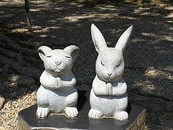 f0370494_00553956.jpg
