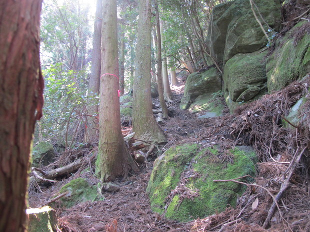 千灯岳下見登山　　2017.4.4（火）_a0166196_161429.jpg