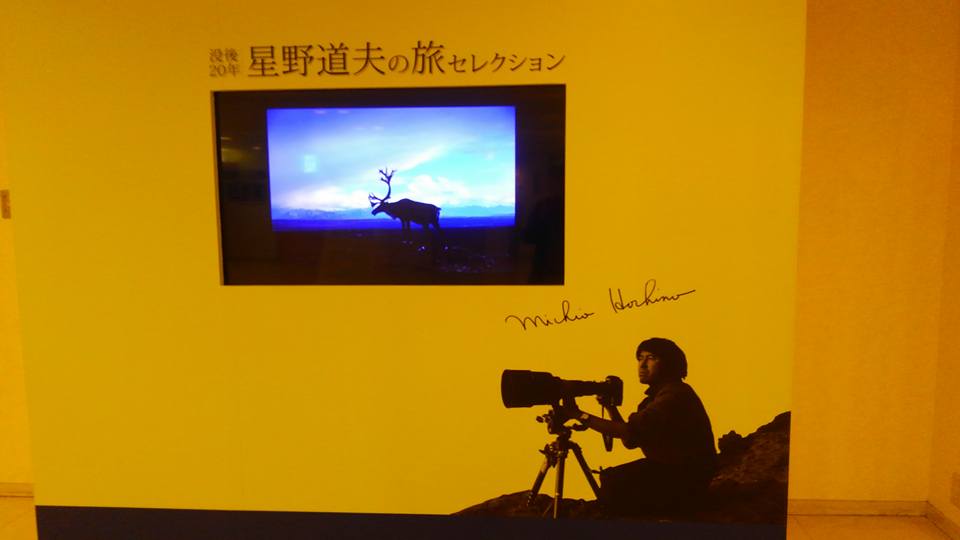 3月のFB日記_e0111396_1135613.jpg