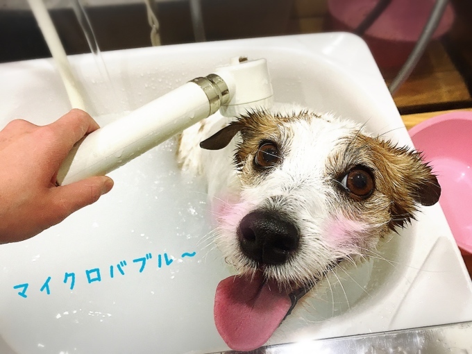 d0269898_11545200.jpeg
