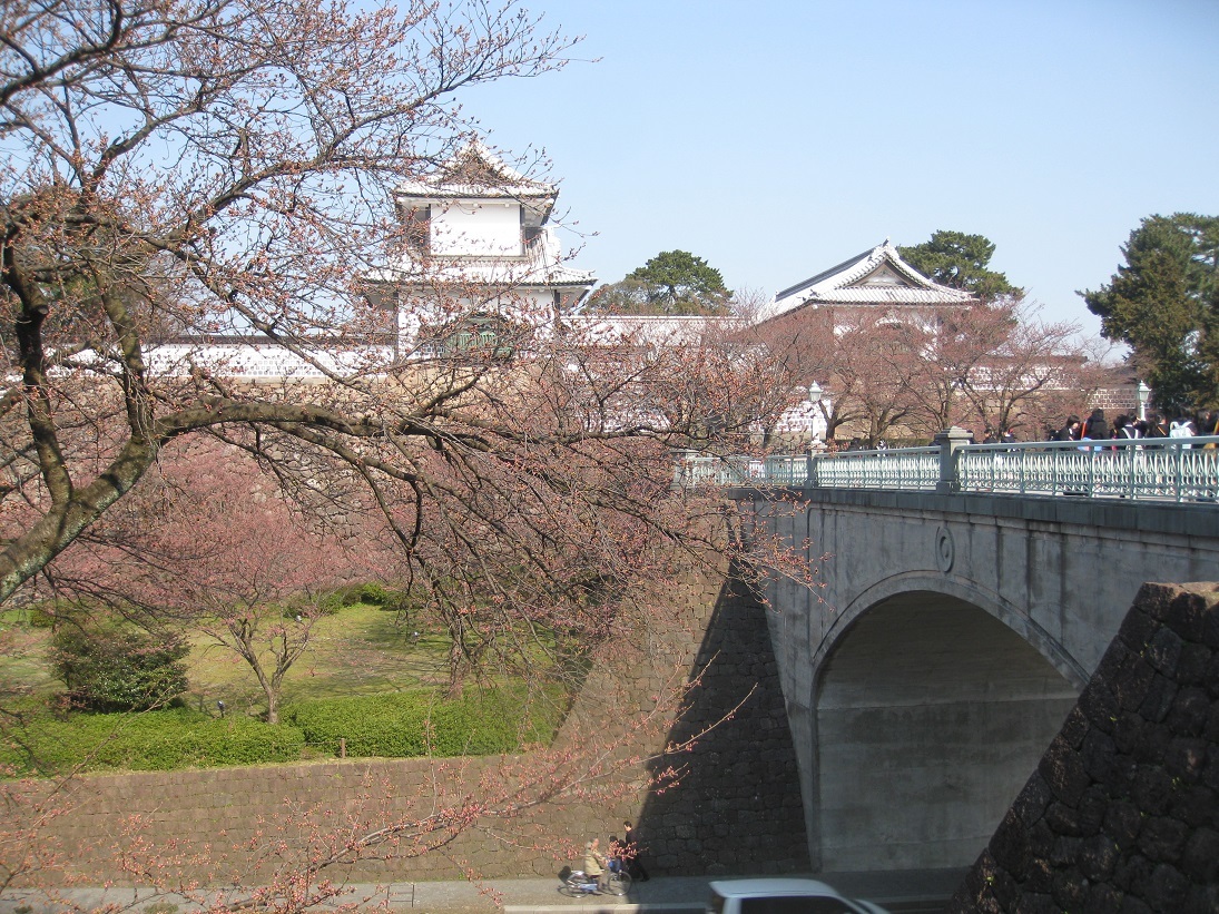 百間堀の桜_f0281398_22540268.jpg