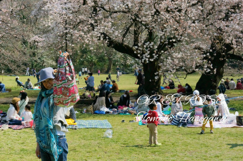 お花見に選んだバッグ３っつ_f0181302_17315770.jpg