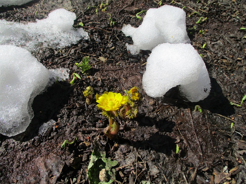 f0202703_639322.jpg
