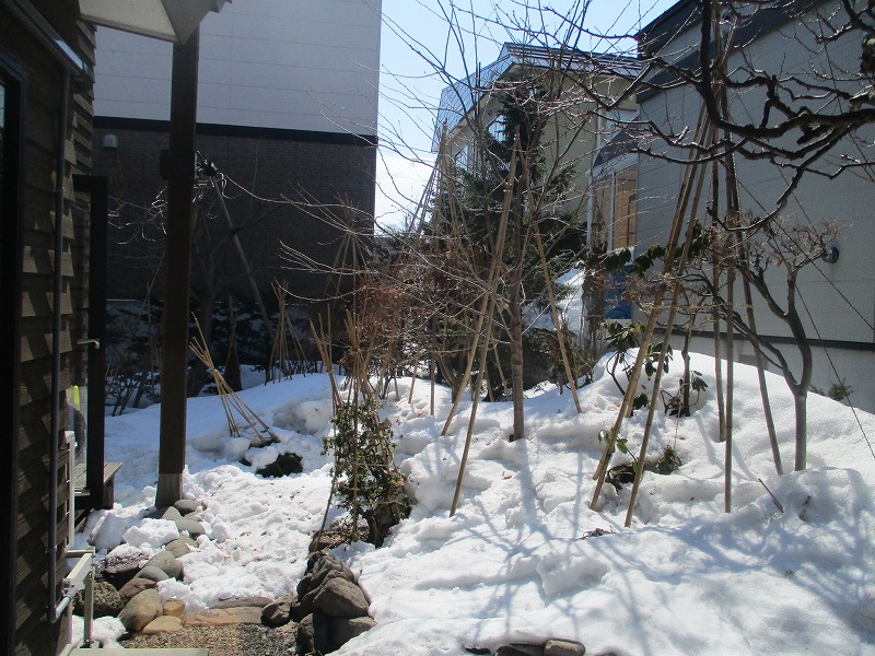 f0202703_6393855.jpg