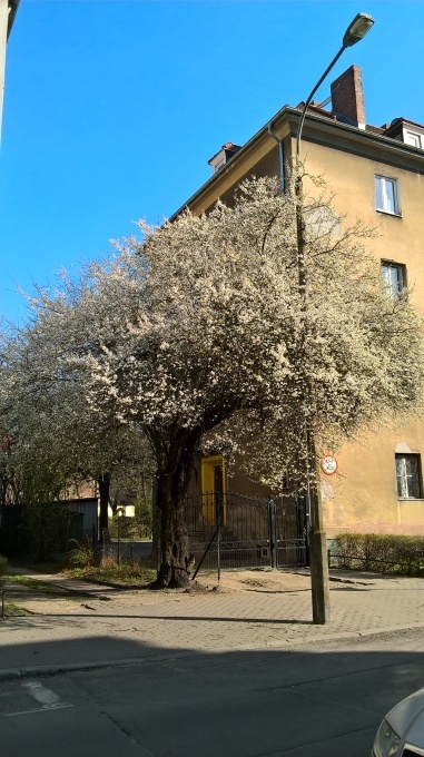 e0039206_21262025.jpg
