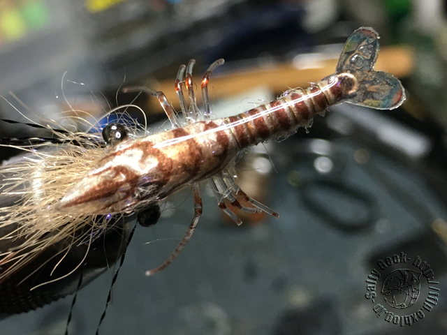 Selloshrimp（セロシュリンプ）_f0315711_16512271.jpg