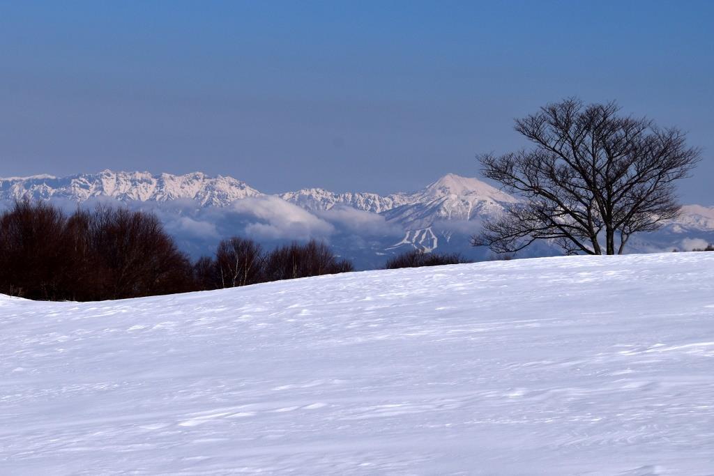 2017/4/2 四阿山_a0340812_16254541.jpg