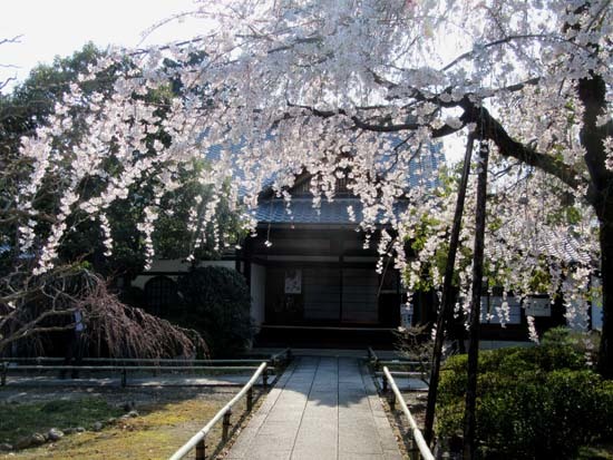 水火天満宮と上品蓮台寺_e0048413_17191640.jpg