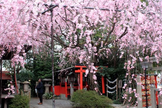 水火天満宮と上品蓮台寺_e0048413_17192762.jpg