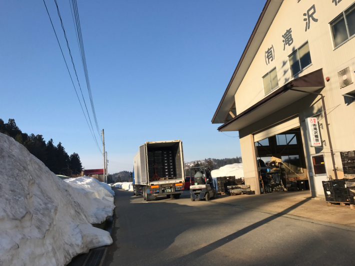 球根入荷_f0067514_13234633.jpg
