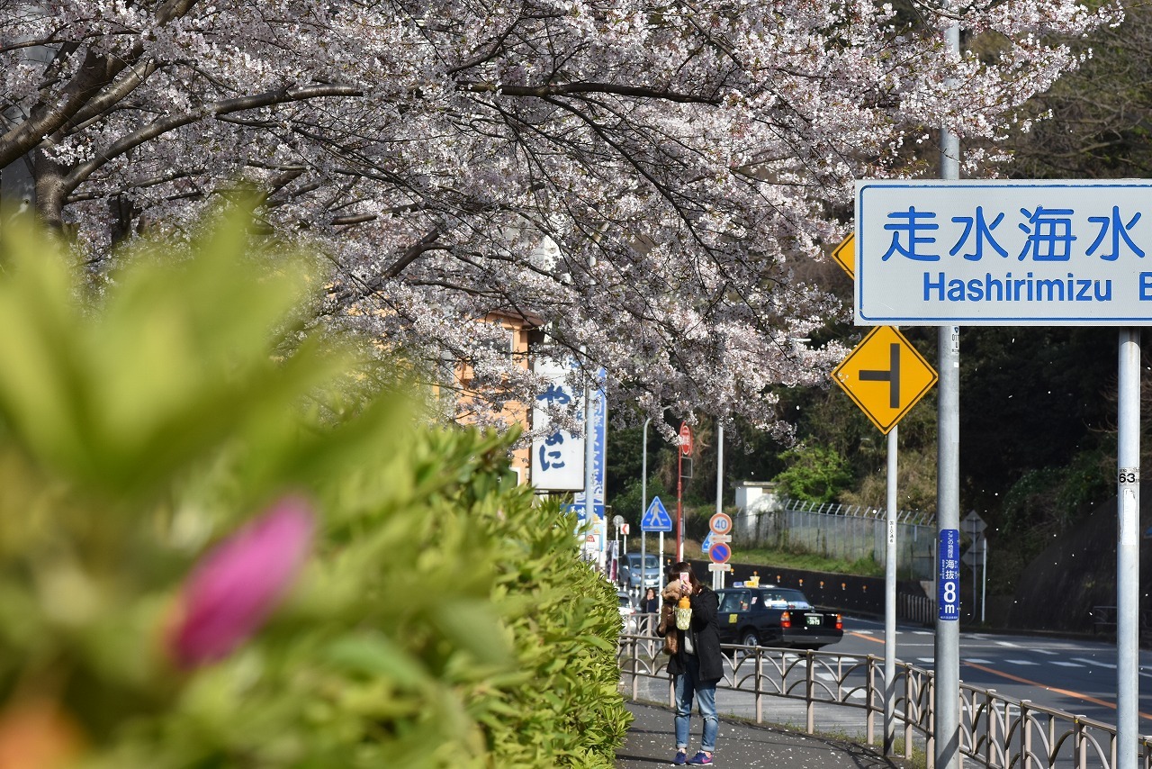 走水水源地　外側からリターンズ！_d0065116_21480099.jpg