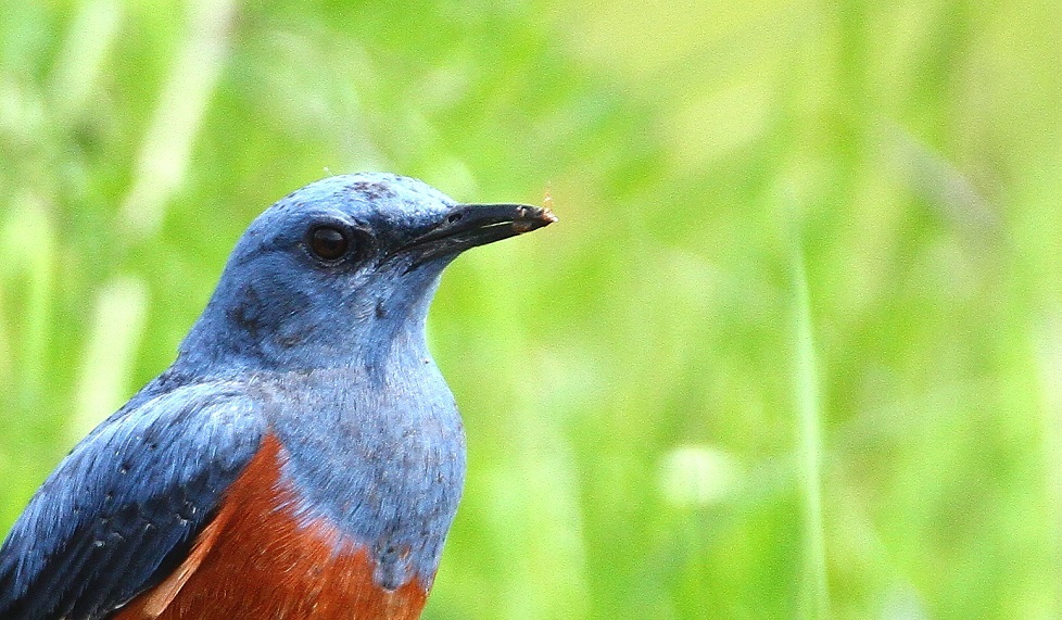 f0364220_17234435.jpg