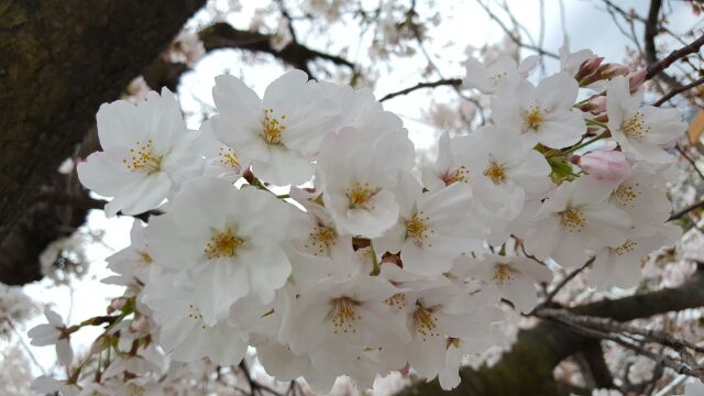 雨が降り出す前に……_f0126121_2230156.jpg