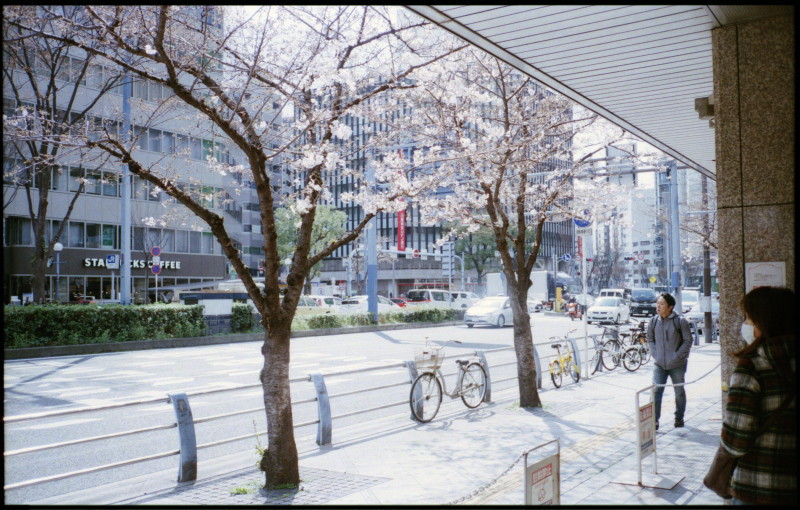 c0176622_11371453.jpg