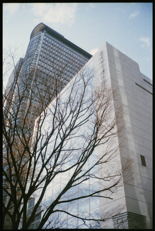 c0176622_11371598.jpg