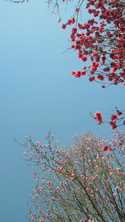 b0170623_0471344.jpg