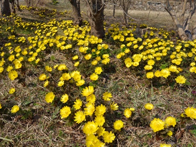 c0204725_10113770.jpg