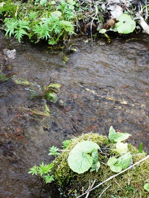 c0204725_10142884.jpg