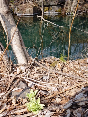 c0204725_10149100.jpg