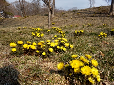 c0204725_10183111.jpg