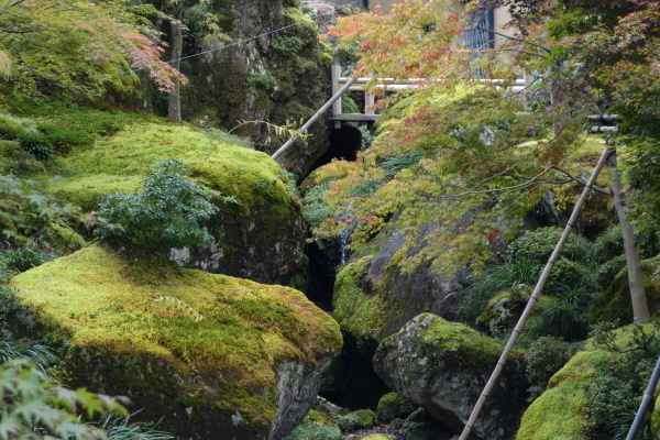 ＜箱根旅＞箱根美術館を散策（その1）_c0060927_22260324.jpg