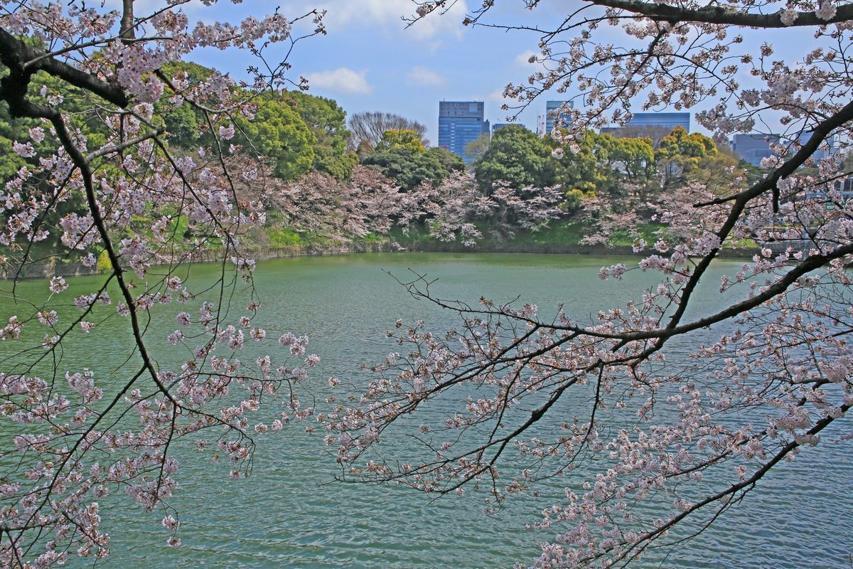 c0104227_19385265.jpg