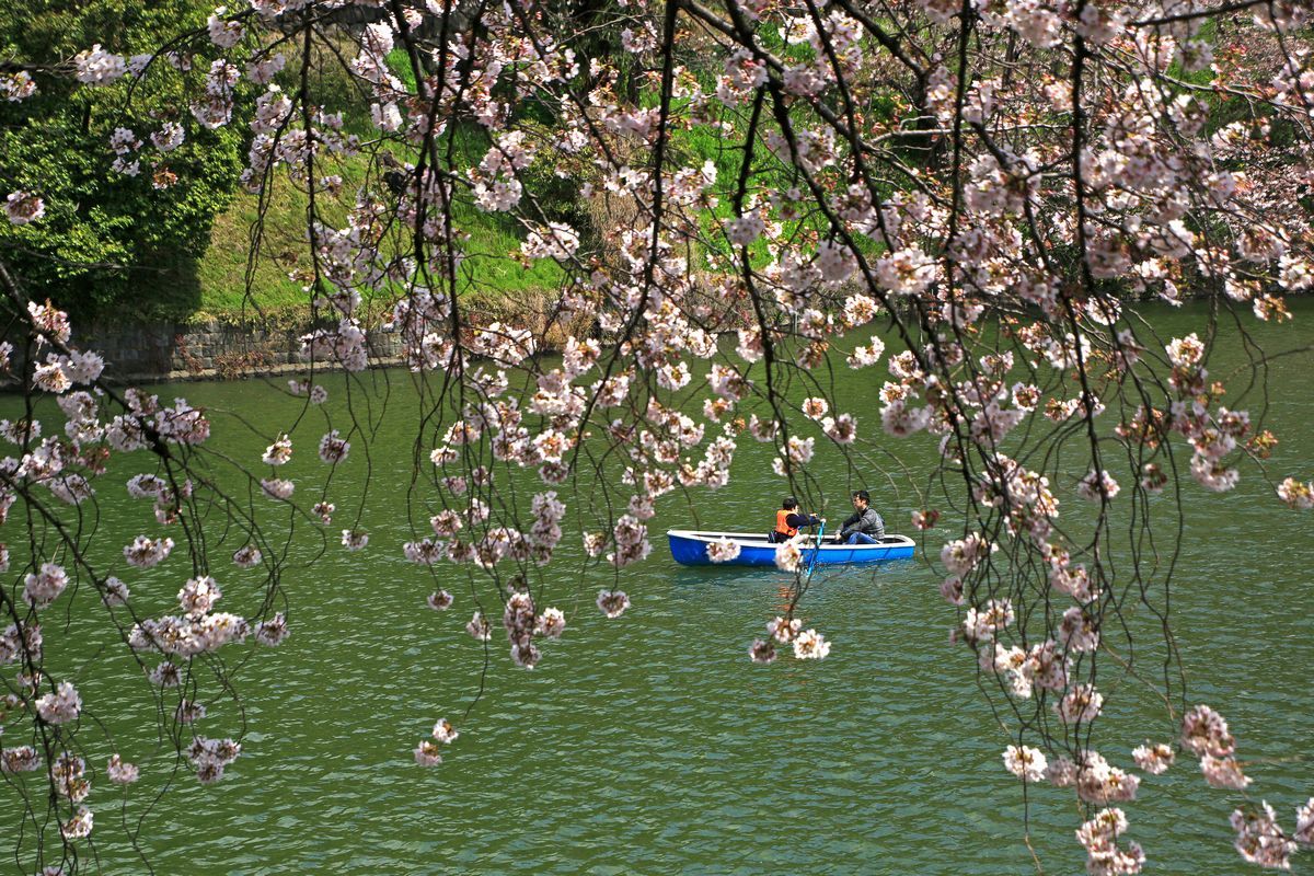 c0104227_19394581.jpg