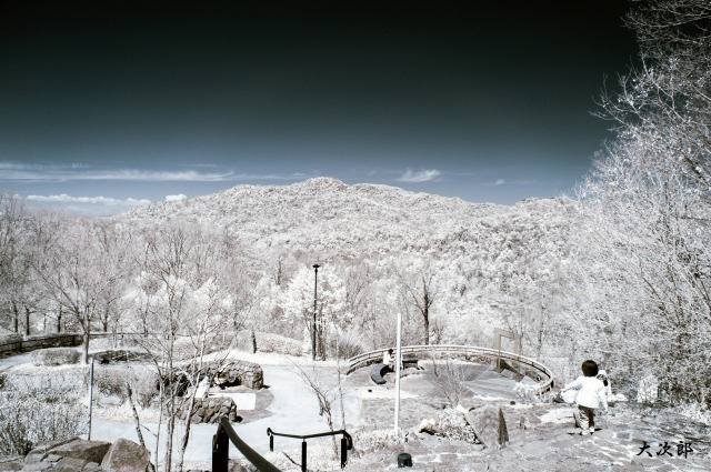 f0186527_19440429.jpg