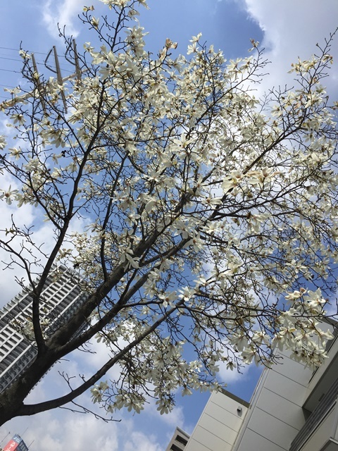 c0117831_21551911.jpg