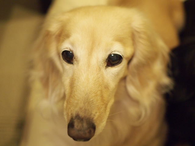 c0117831_21553866.jpg