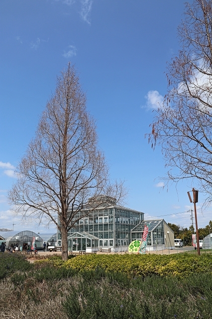 a0242438_22455851.jpg
