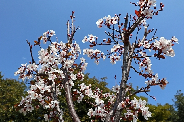 a0242438_22470162.jpg